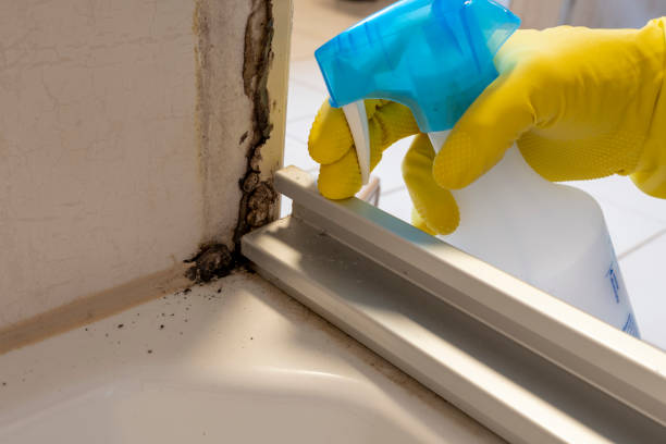 Best Black Mold Removal  in Linden, CA