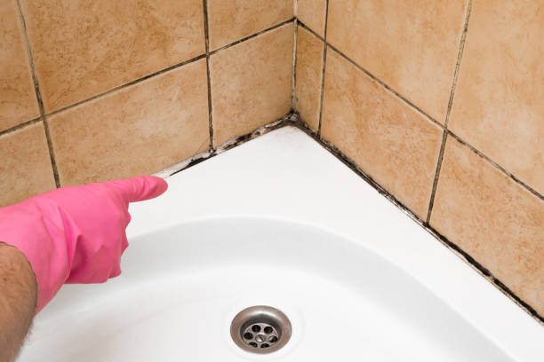 Best Mold Remediation  in Linden, CA